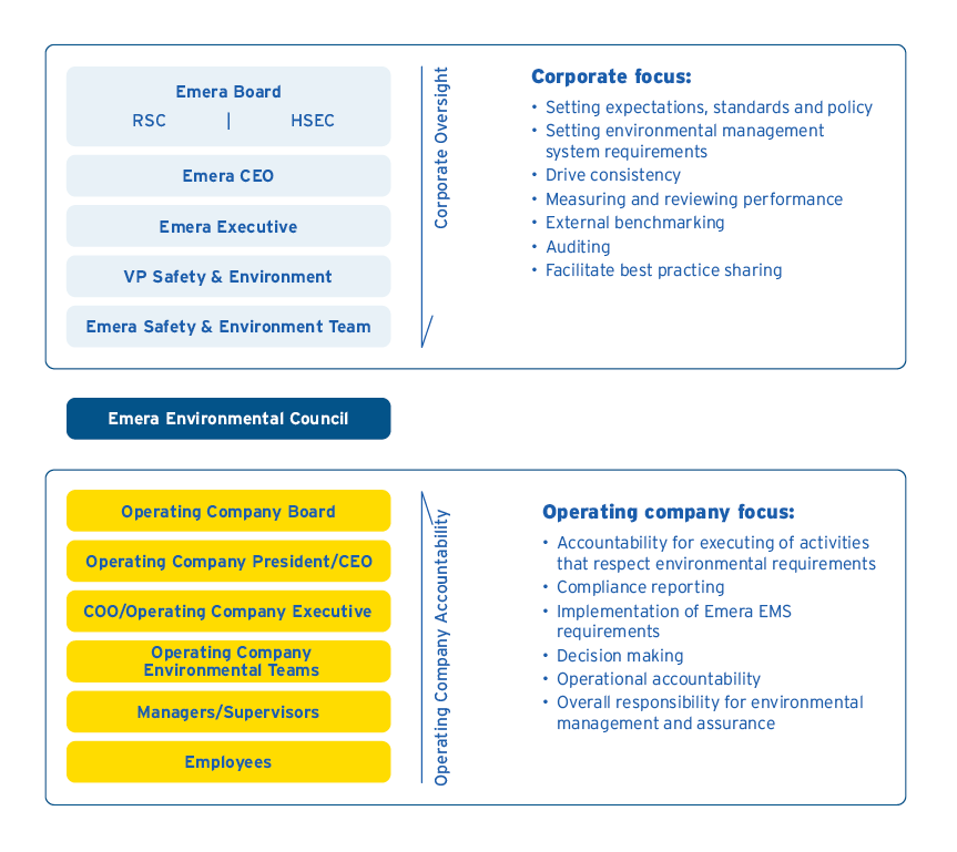 Diagram explaining environmental governance