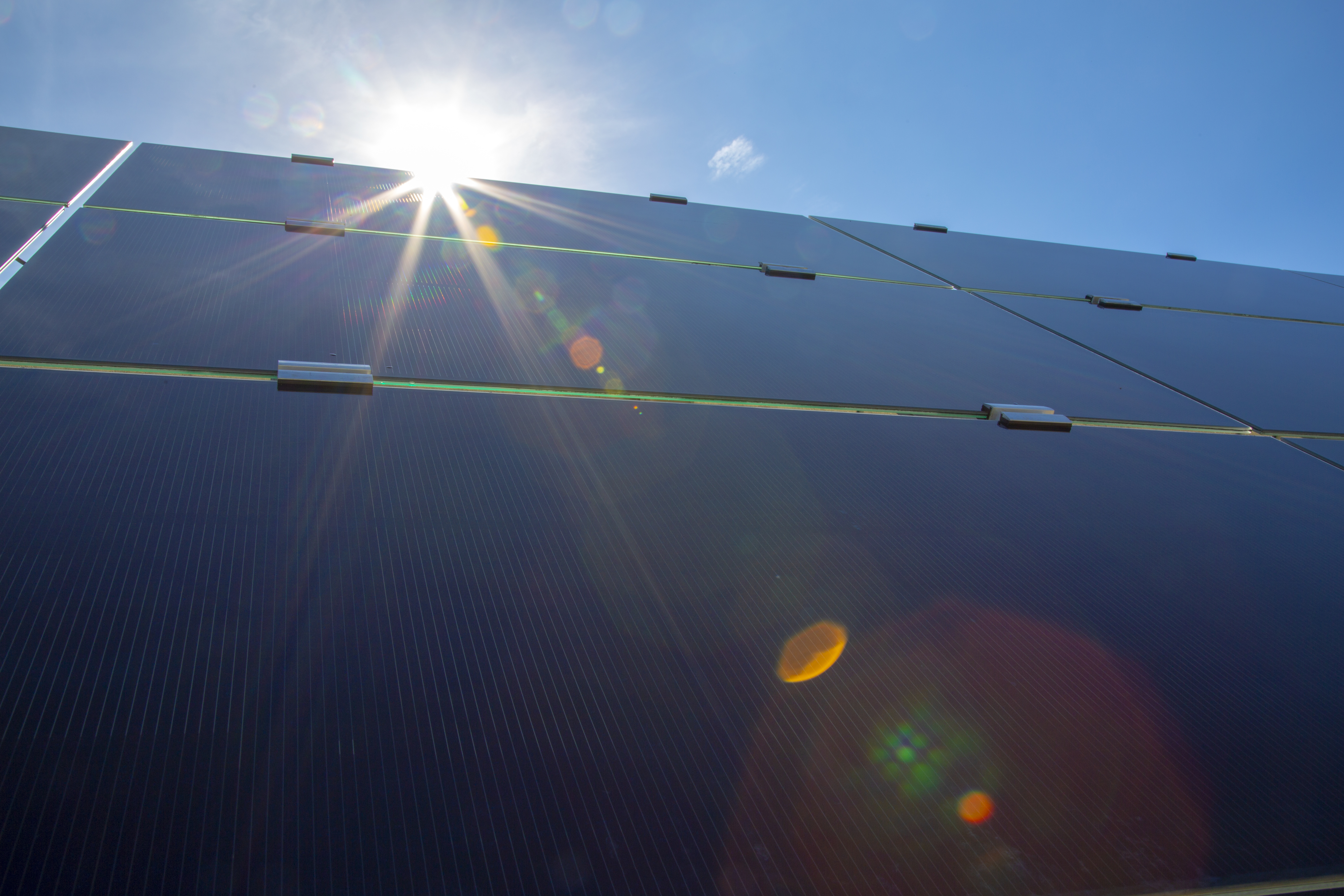 Payne Creek Solar - Copy